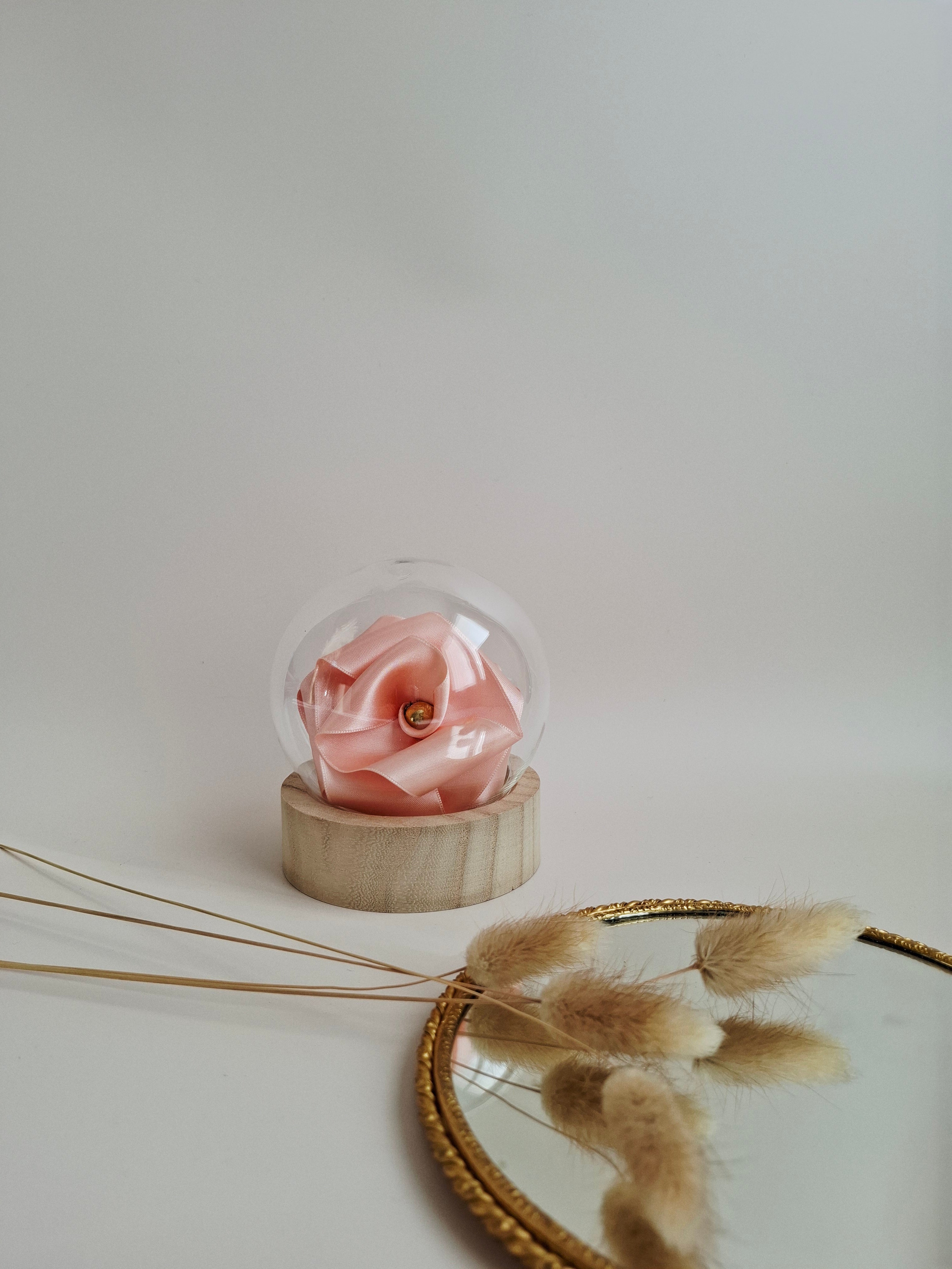 Rose éternelle globe en verre |Abricot