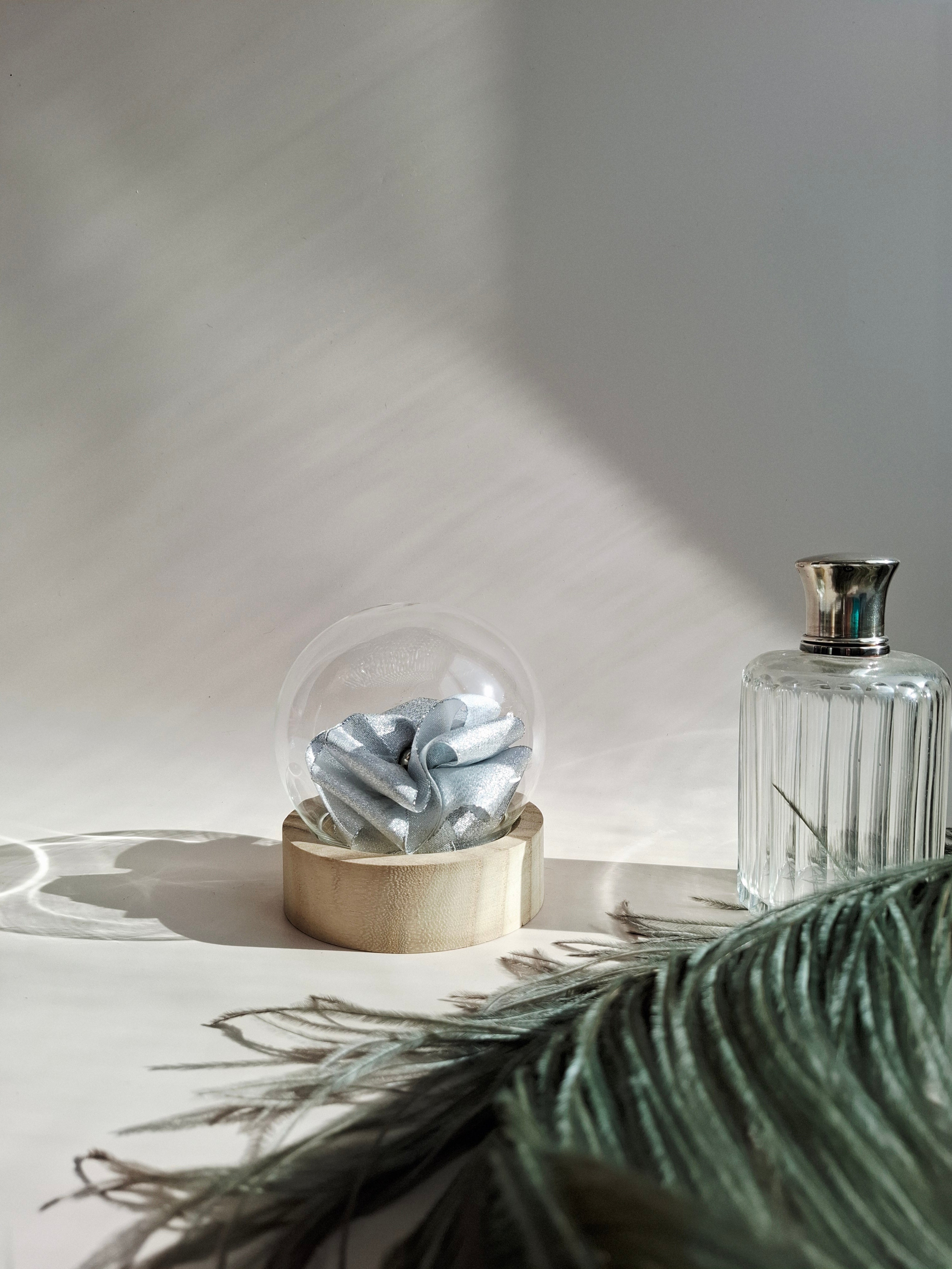 Rose éternelle globe en verre | Argenté brillant