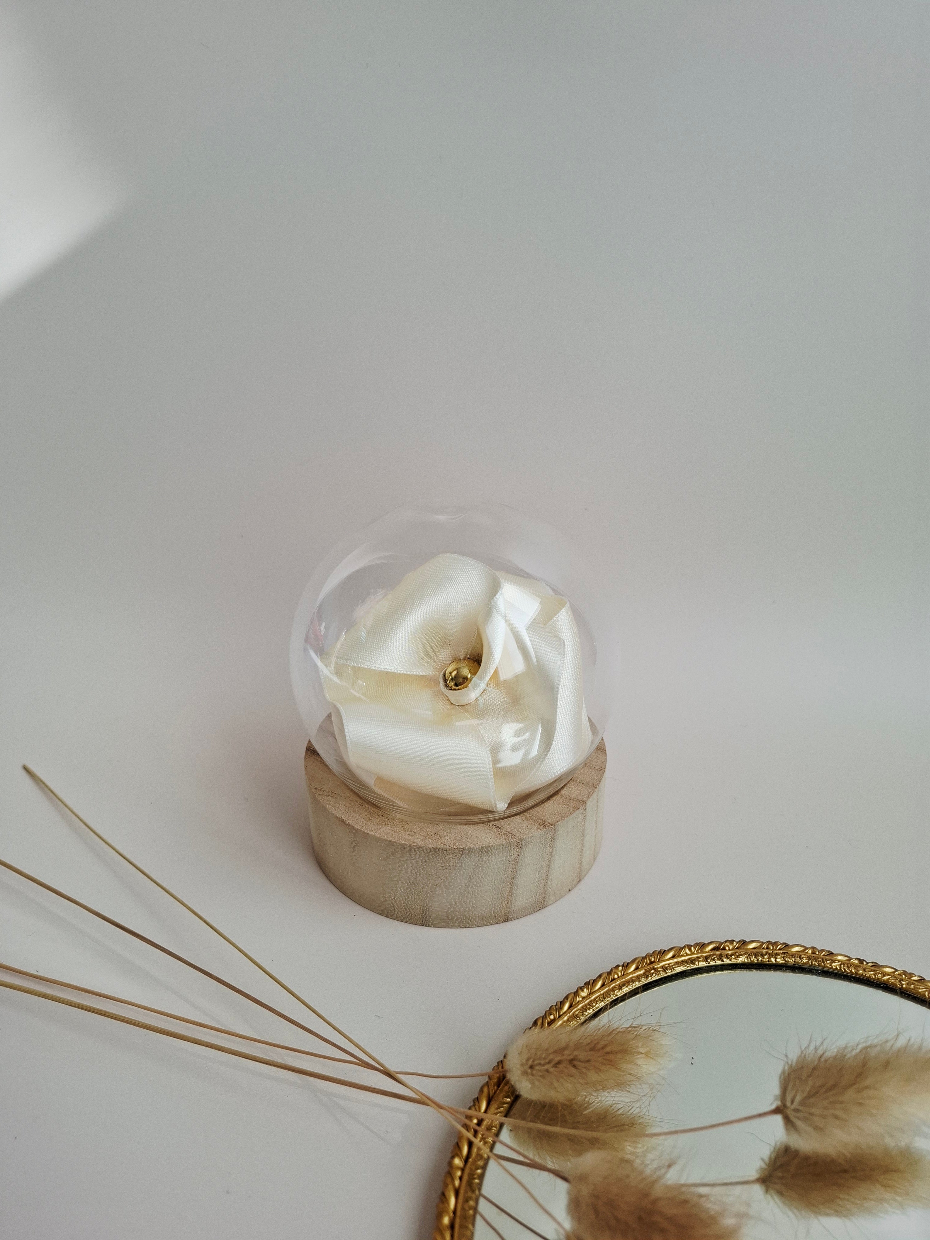 Rose éternelle globe en verre |Ivoire