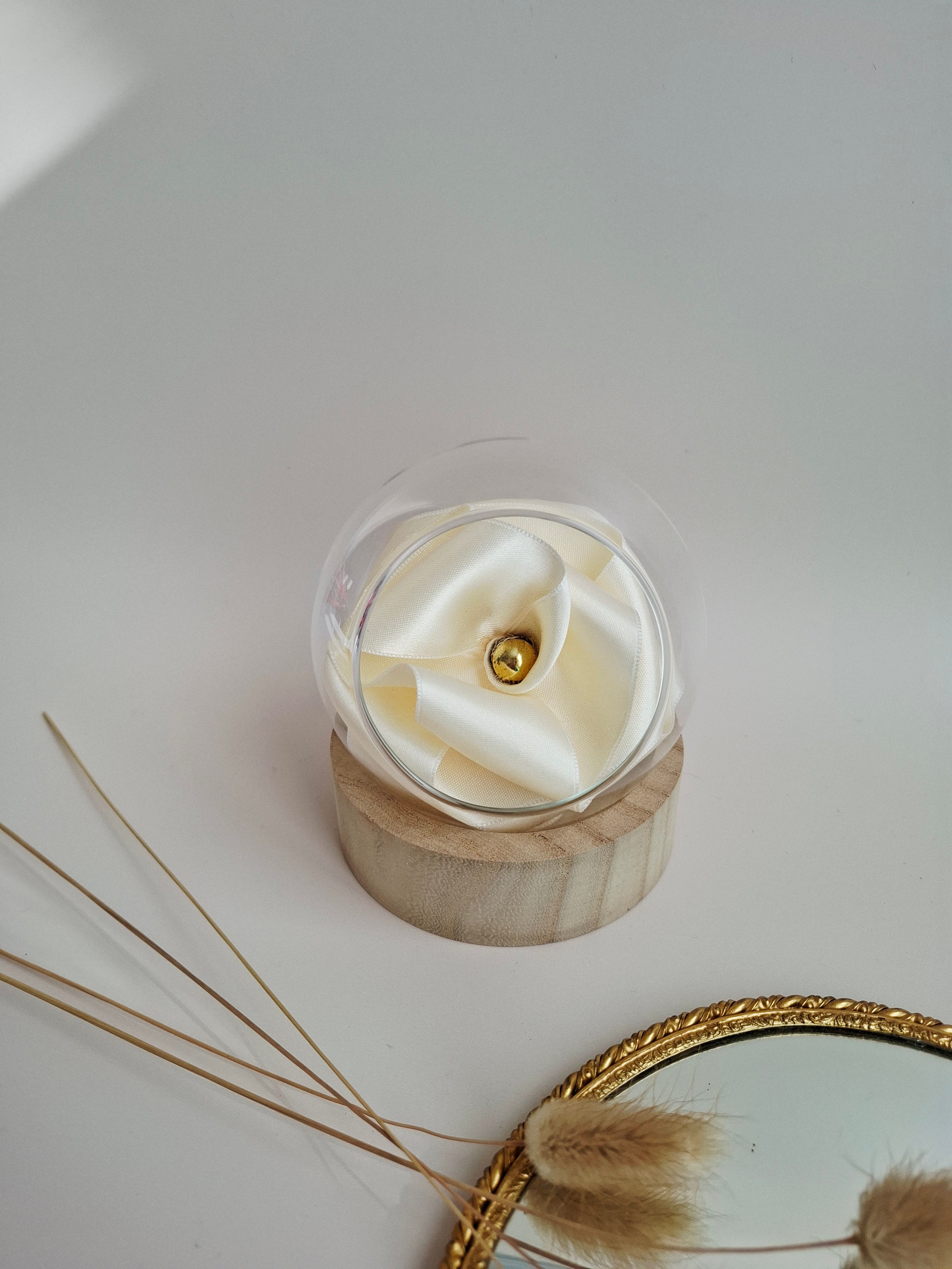 Rose éternelle globe en verre |Ivoire