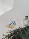 Rose éternelle globe en verre | Argenté brillant