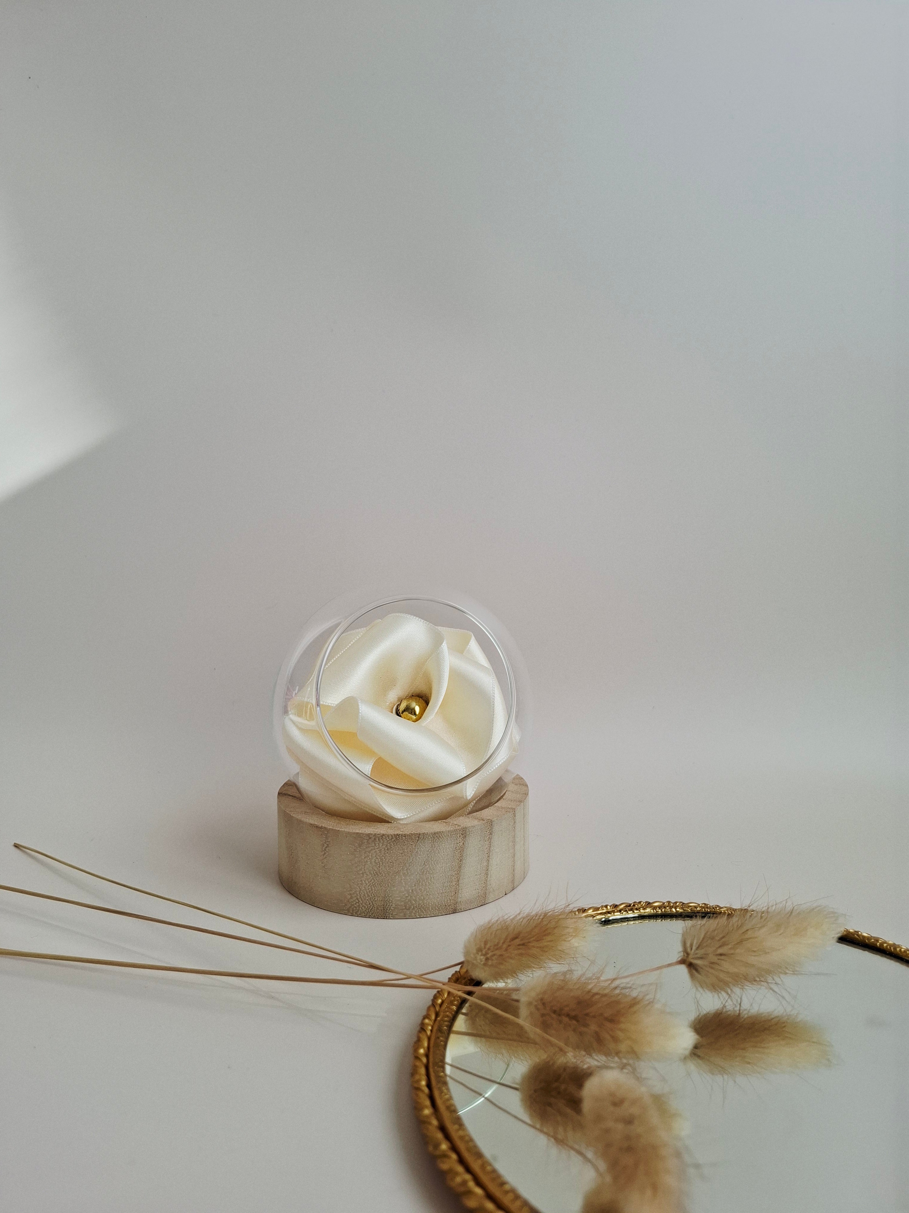 Rose éternelle globe en verre |Ivoire