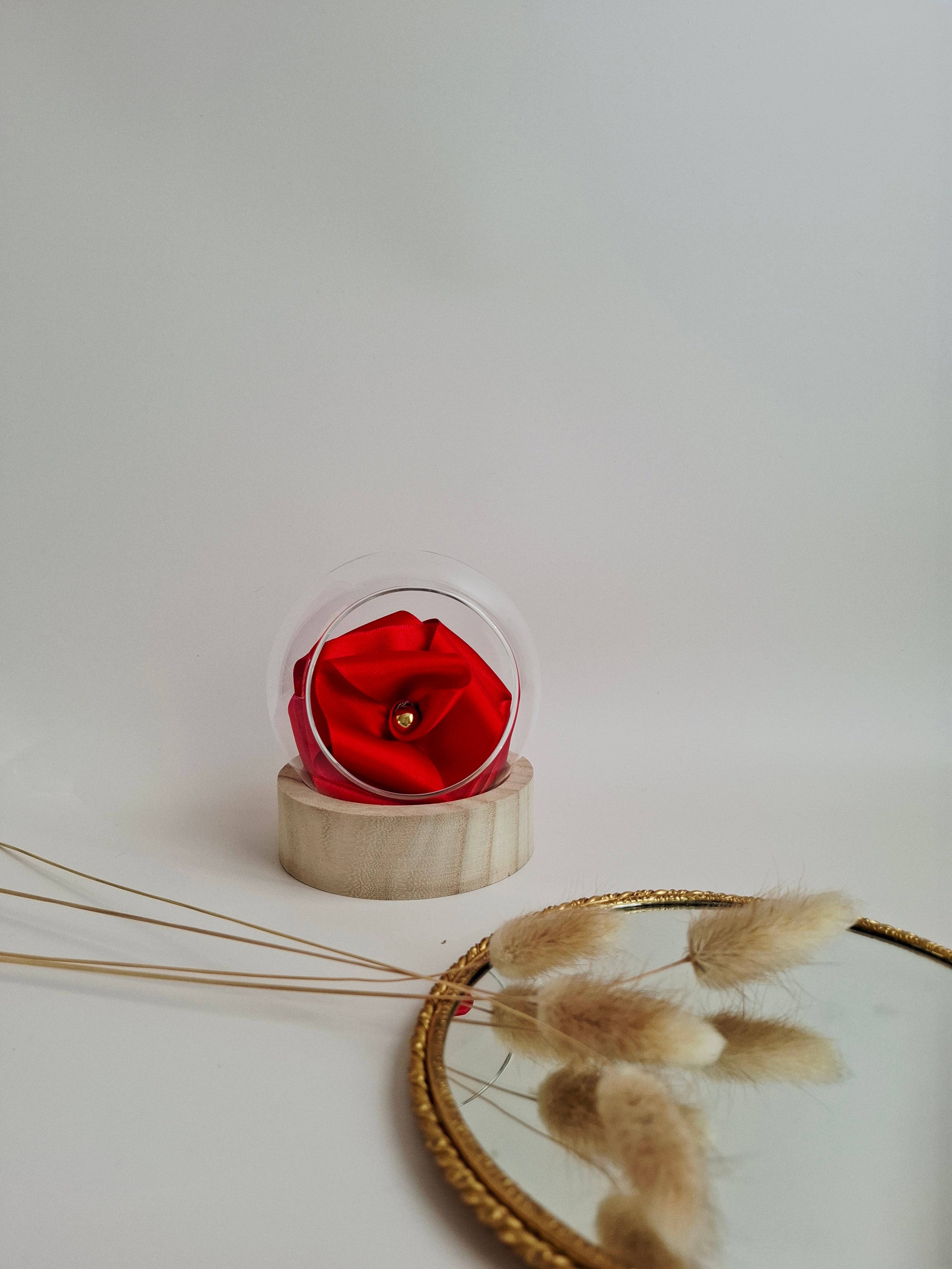 Rose éternelle globe en verre | Rouge